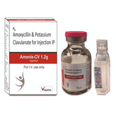 Amovix-cv 1.2