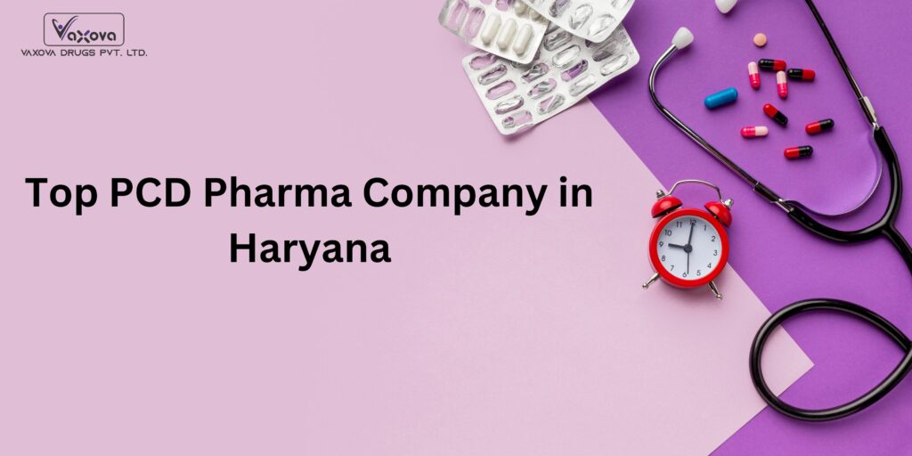 Top PCD Companies in Ambala, Haryana – Trusted List for 2025