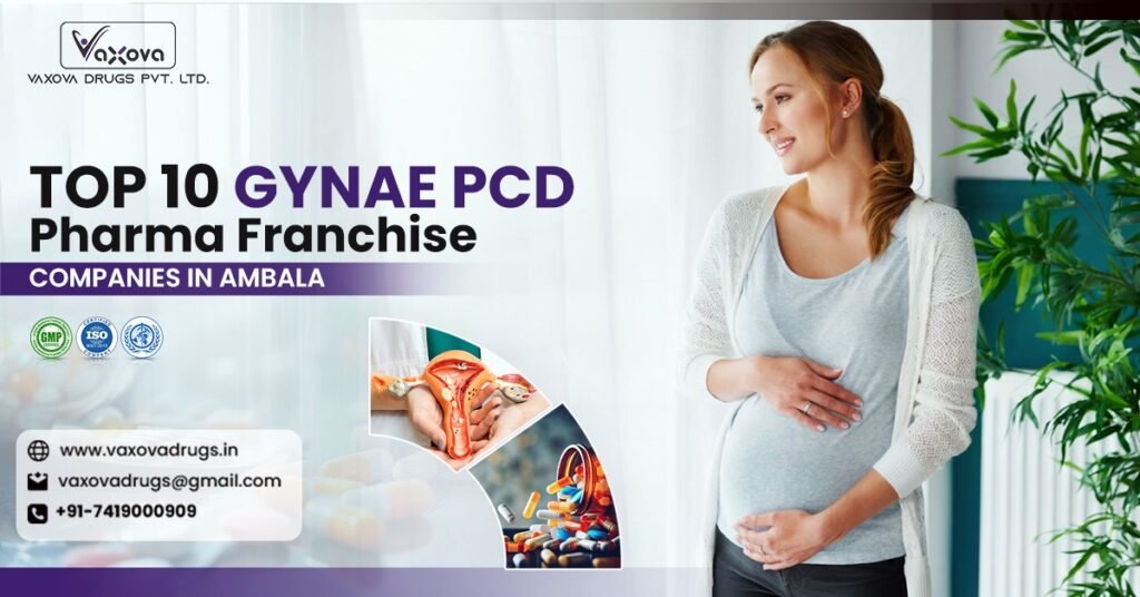 Top 10 Gynae PCD Franchise Companies in Ambala