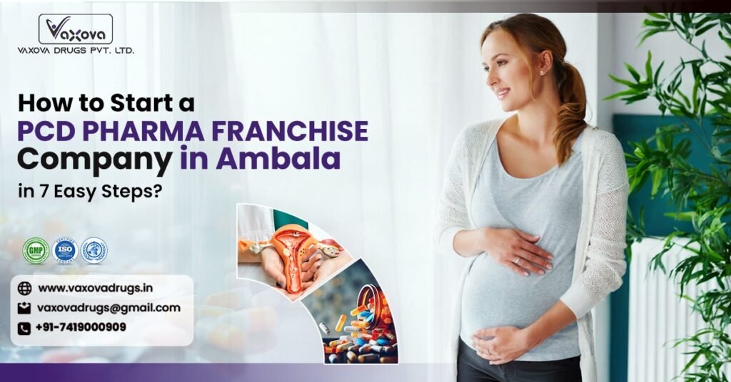 How to Start a PCD Pharma Franchise Company in Ambala in 7 Easy Steps?